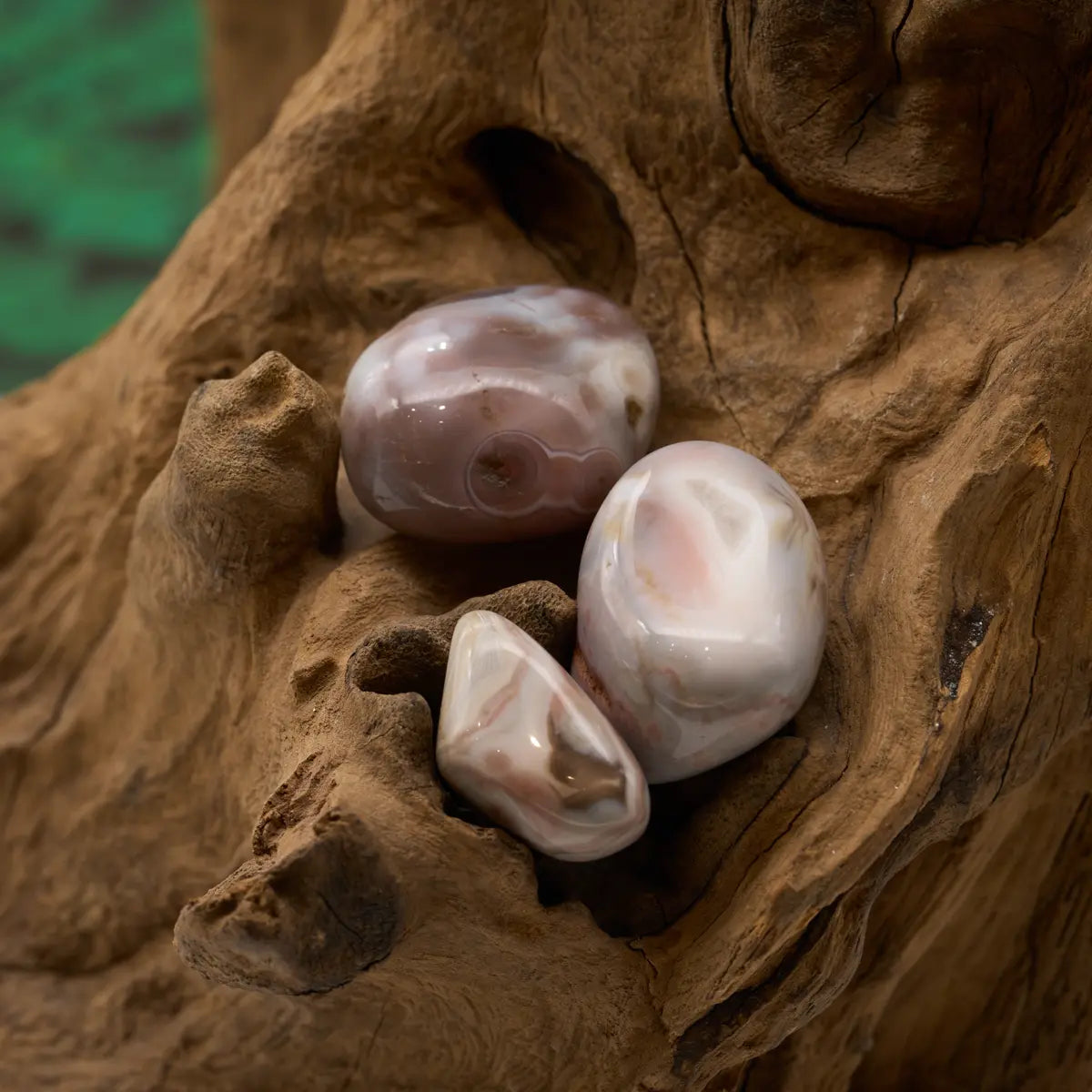Leuchtend rosa Achat-Trommelstein – aktiviert Freude und Selbstliebe.
