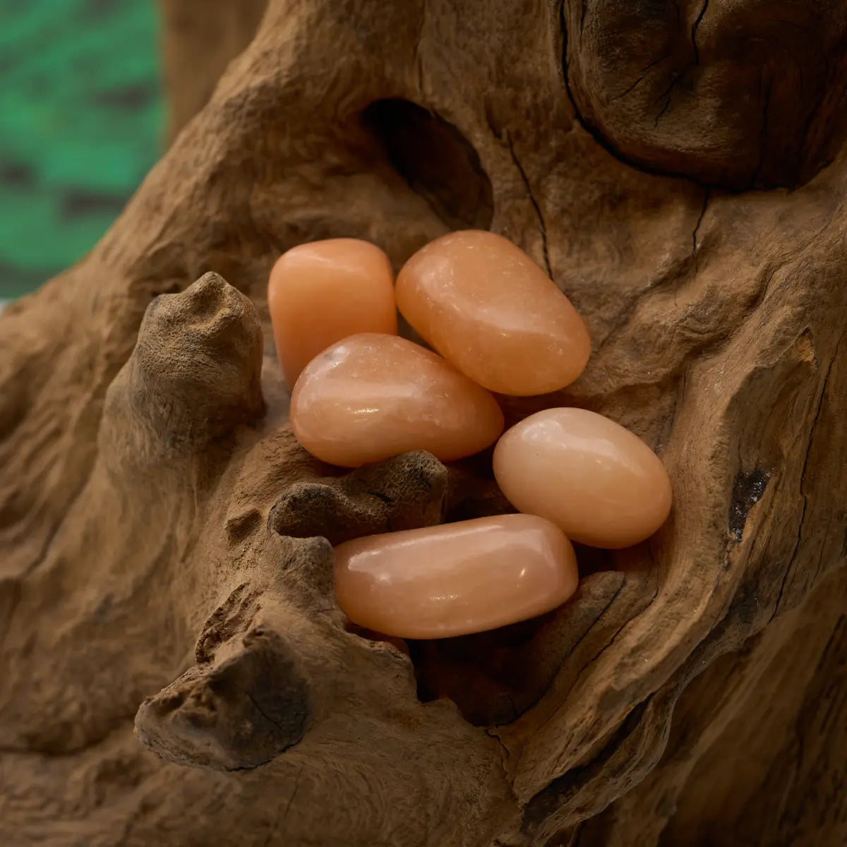 Weißer, glatter Trommelstein – bringt Klarheit und Sanftmut.