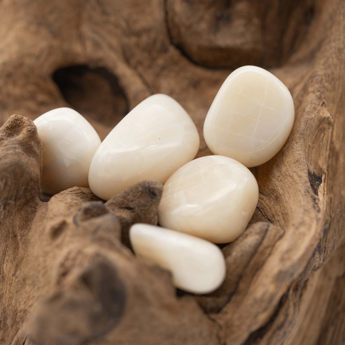 Aragonit "Muschelaragonit" Trommelstein