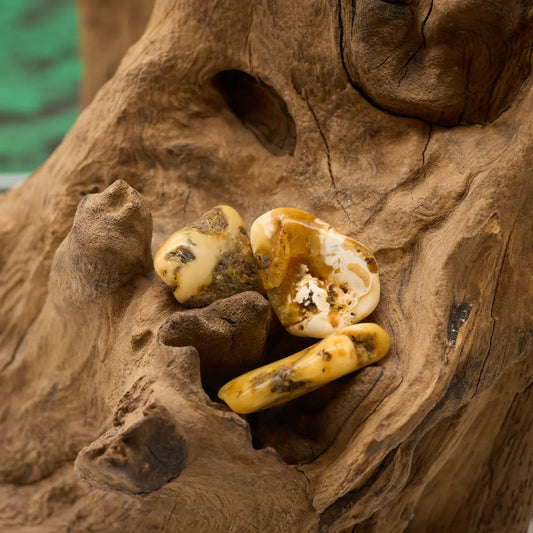 Honiggelber Bernstein-Trommelstein – stärkt Lebensfreude und Reinigung.