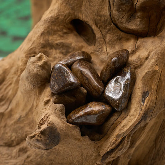 Braun-goldener Bronzit-Trommelstein – schützt und stärkt Ausdauer.