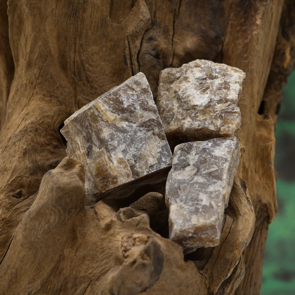 Warmer Honigcalcit-Rohstein – schenkt Zuversicht und Lebensfreude.