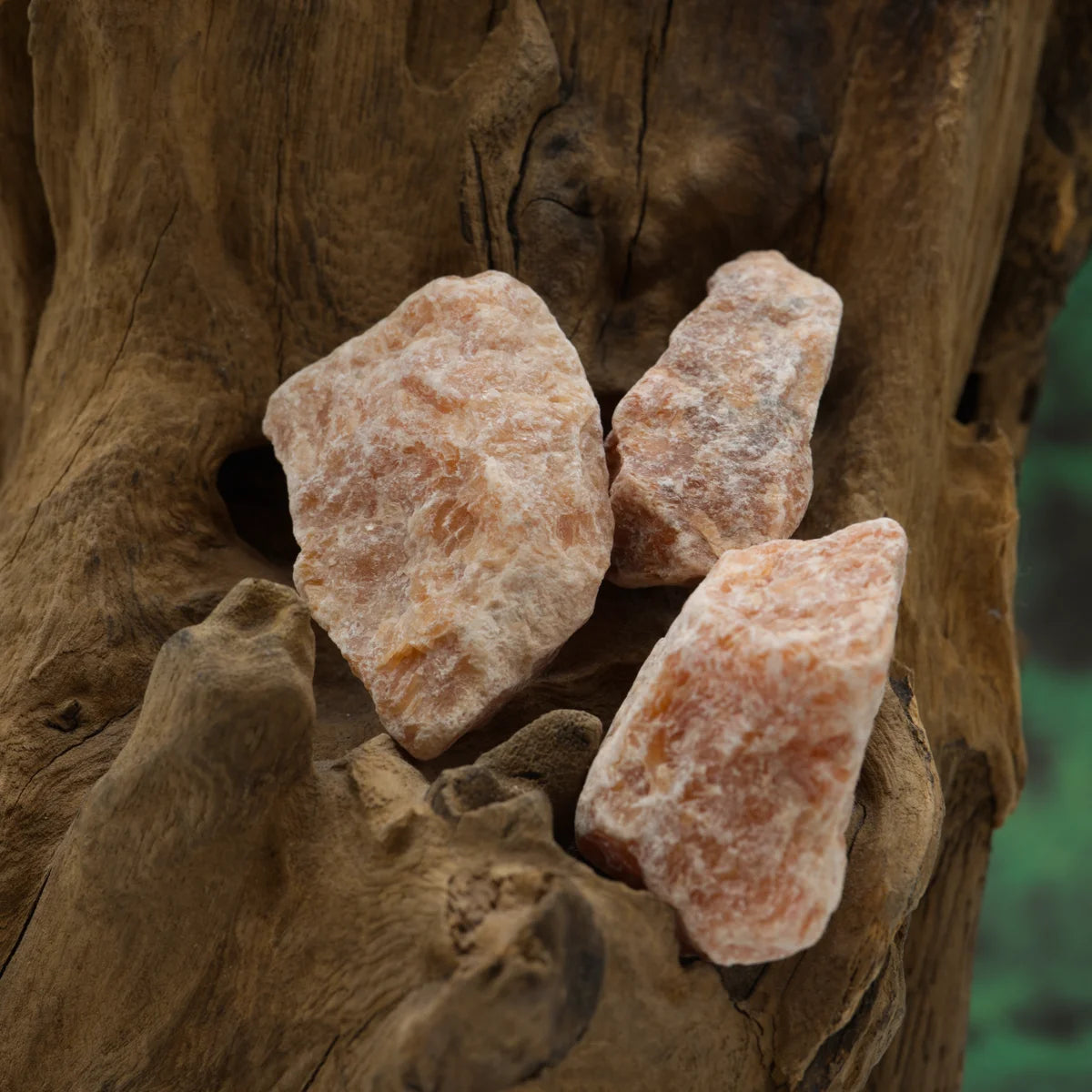 Seltener Orchideencalcit-Rohstein – bringt Ausgleich und Herzöffnung.