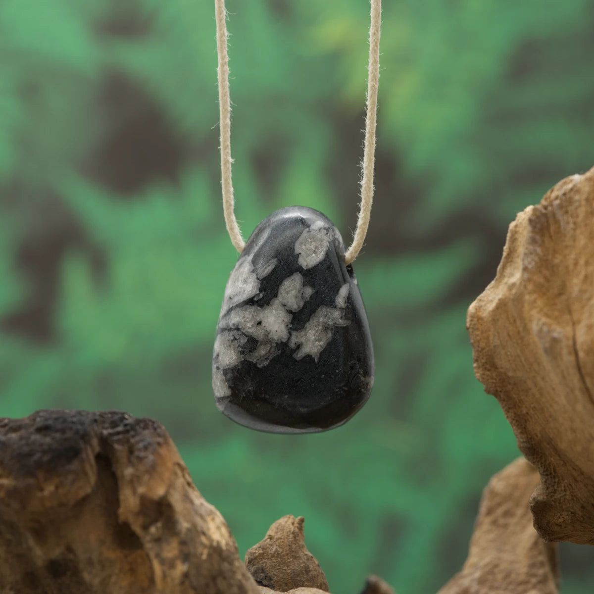 Dunkler Chrysanthemenstein – Geduld, Wachstum und innere Ordnung.