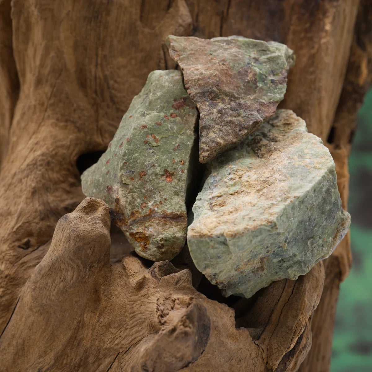 Lebendiger Chrysopras-Rohstein – öffnet das Herz und bringt Erneuerung.