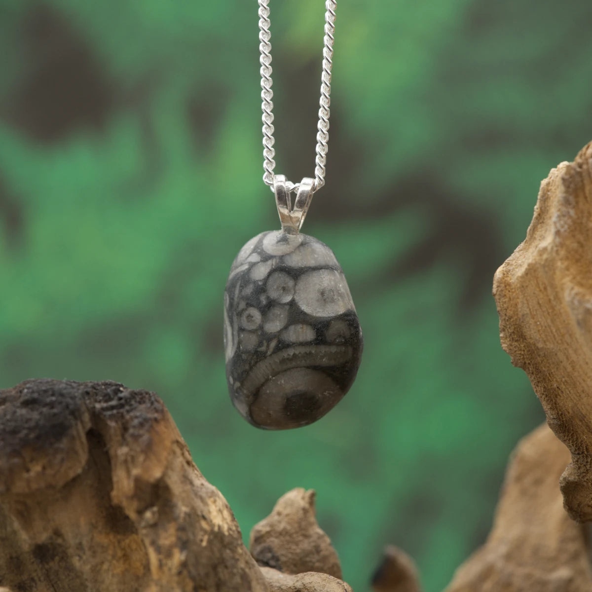 Fossiler Crinoid-Anhänger im Marmor – Symbol für Erdverbundenheit und Beständigkeit.