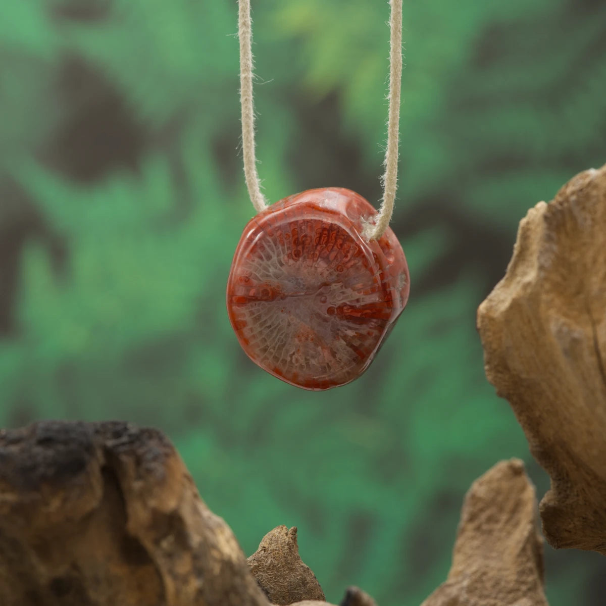 Rote Koralle – Lebensenergie, Leidenschaft und Schutz.