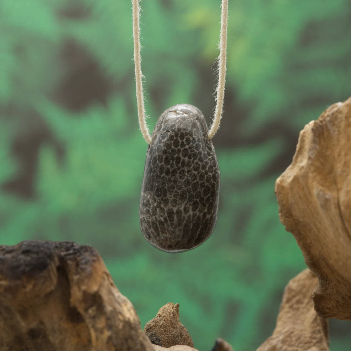 Schwarze Koralle – Schutz, Ausgeglichenheit und innere Ruhe.