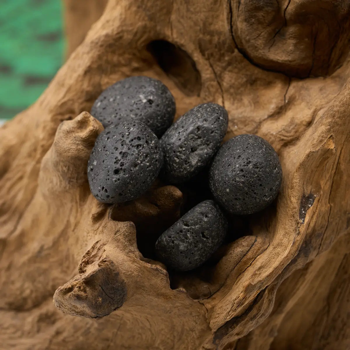 Porös schwarz – erdet und löst Spannungen.