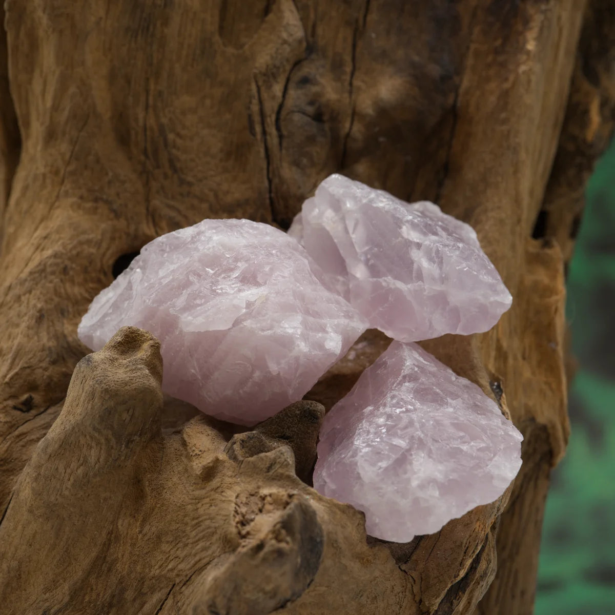 Zartvioletter Lavendelquarz-Rohstein – beruhigt und öffnet das Herz.