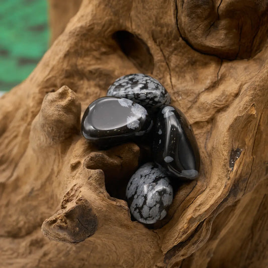 Schwarz mit grauen Punkten – beruhigt und zentriert.