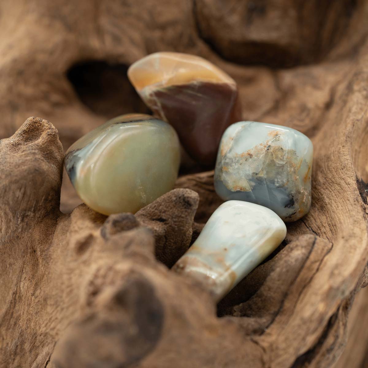 Schillernd farbig – inspiriert Kreativität und Freude.