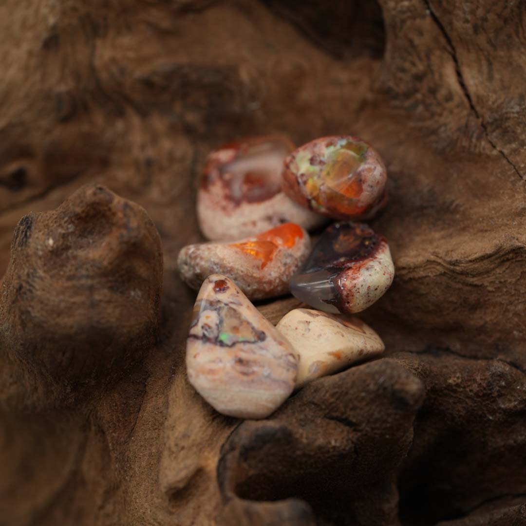 Leuchtend orange – stärkt Lebensenergie und Leidenschaft.