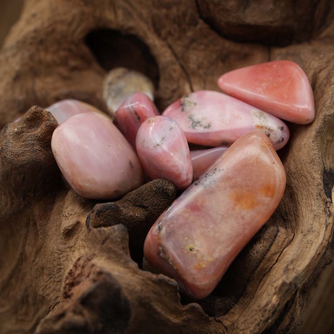 Rosa zart – öffnet Herz und bringt Mitgefühl.