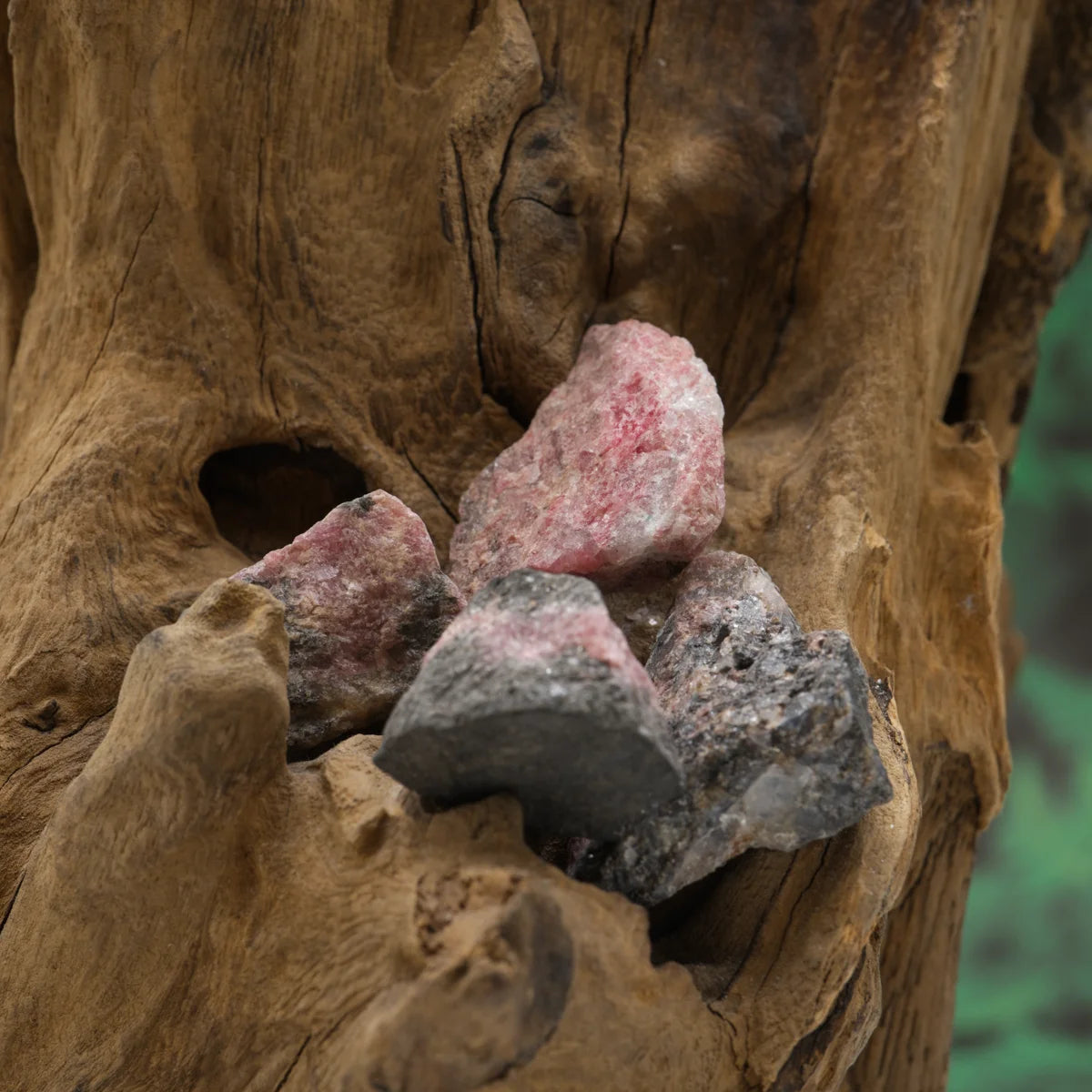 Rosa-schwarzer Rhodonit-Rohstein – harmonisiert Herz und Mitgefühl.