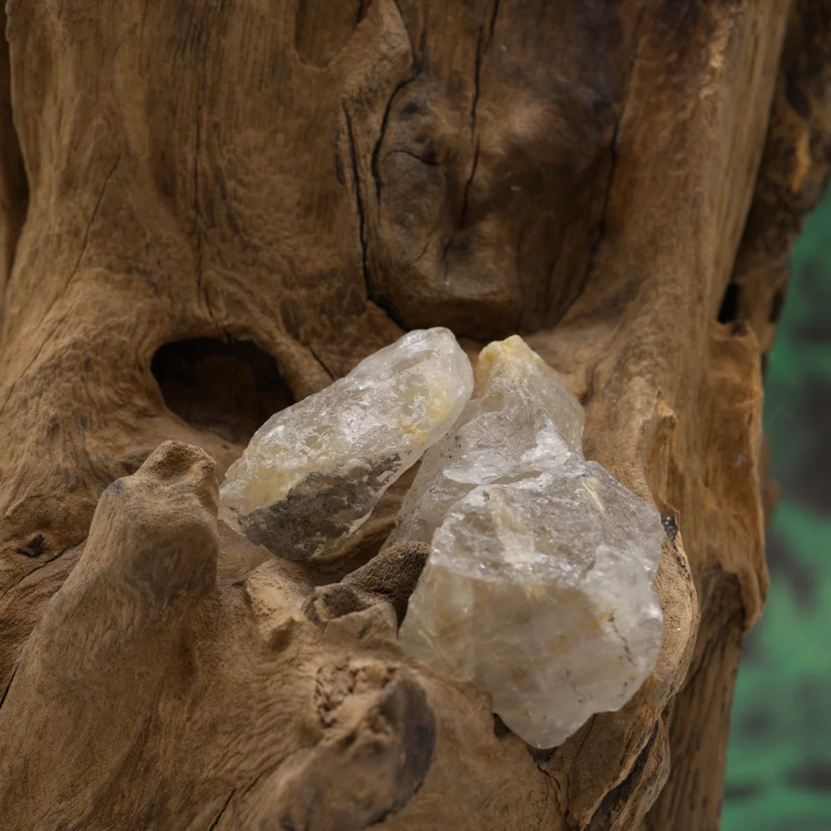 Goldene Nadeln im Quarz – stärkt Energiefluss und Klarheit.