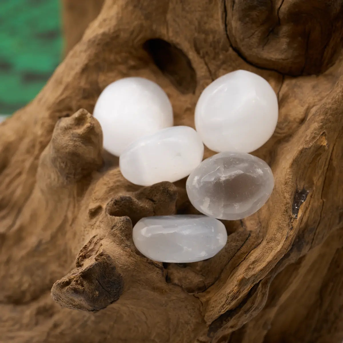 Durchscheinender Selenit – reinigt die Aura und fördert geistige Klarheit.