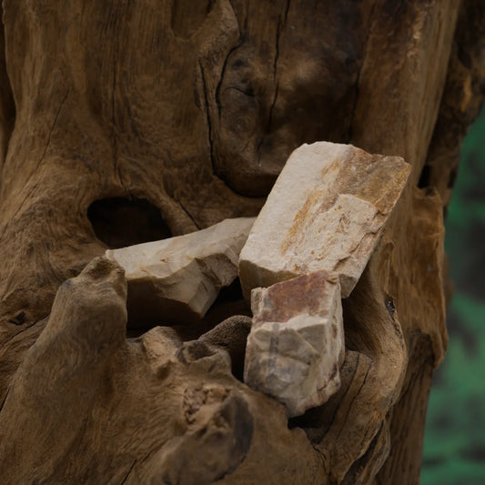 Brauner versteinertes-Holz-Rohstein – stärkt Erdung und Geduld.