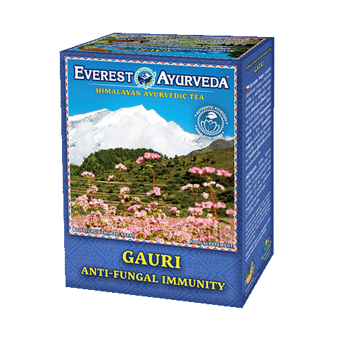 Gauri
