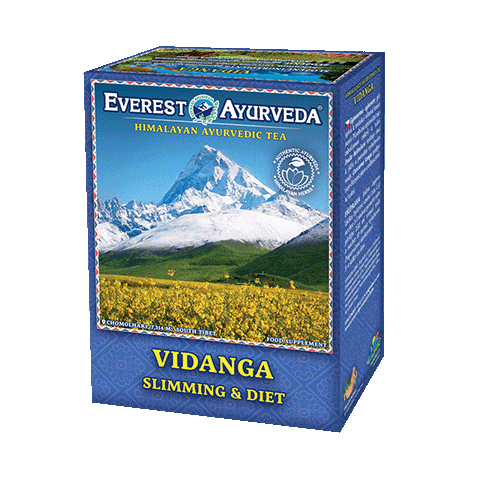Vidanga