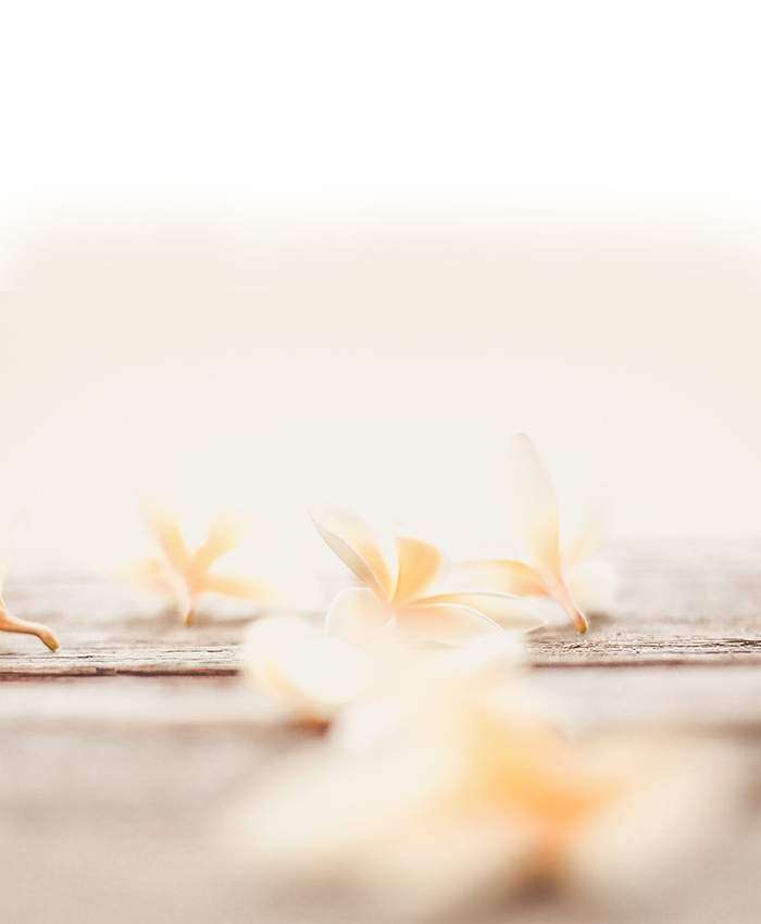 Vanilla: Die Heilende Wirkung der Vanille