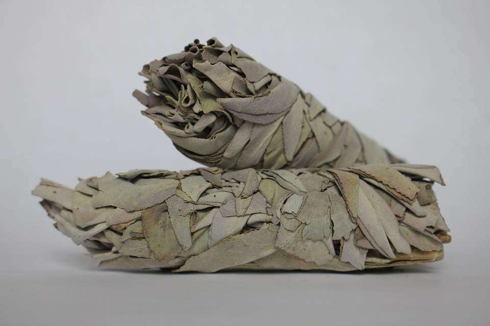 Weiße Salbei - Smudge Sticks