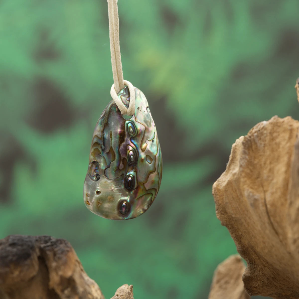 Schimmernde Abalone-Muschel – fördert Intuition, Kreativität und emotionale Heilung.