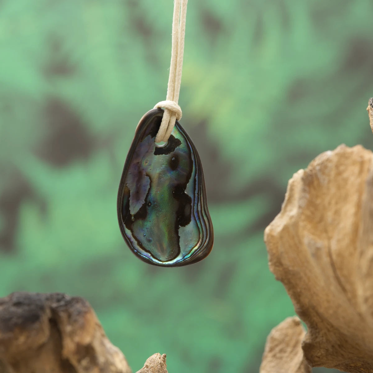 Schimmernde Abalone-Muschel – fördert Intuition, Kreativität und emotionale Heilung.