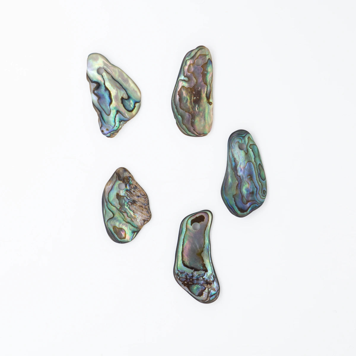 Abalone Anhänger gelocht