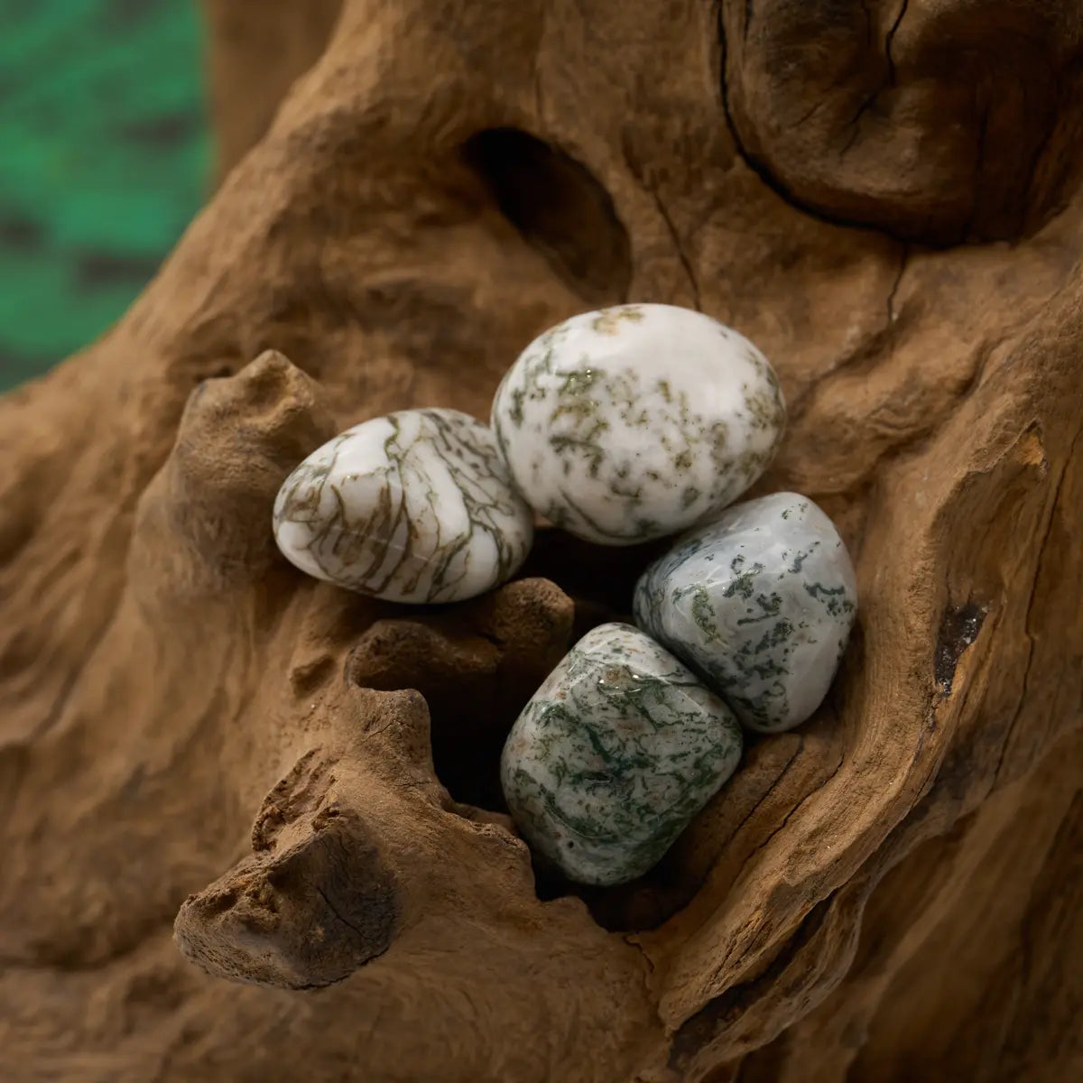 Grüner Baumachat-Trommelstein – bringt Ruhe und Erdung.