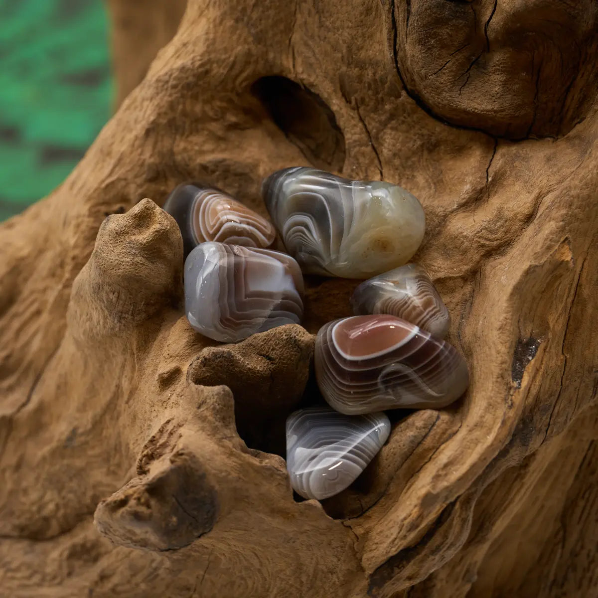 Natürlicher Achat-Trommelstein – stabilisiert und harmonisiert.