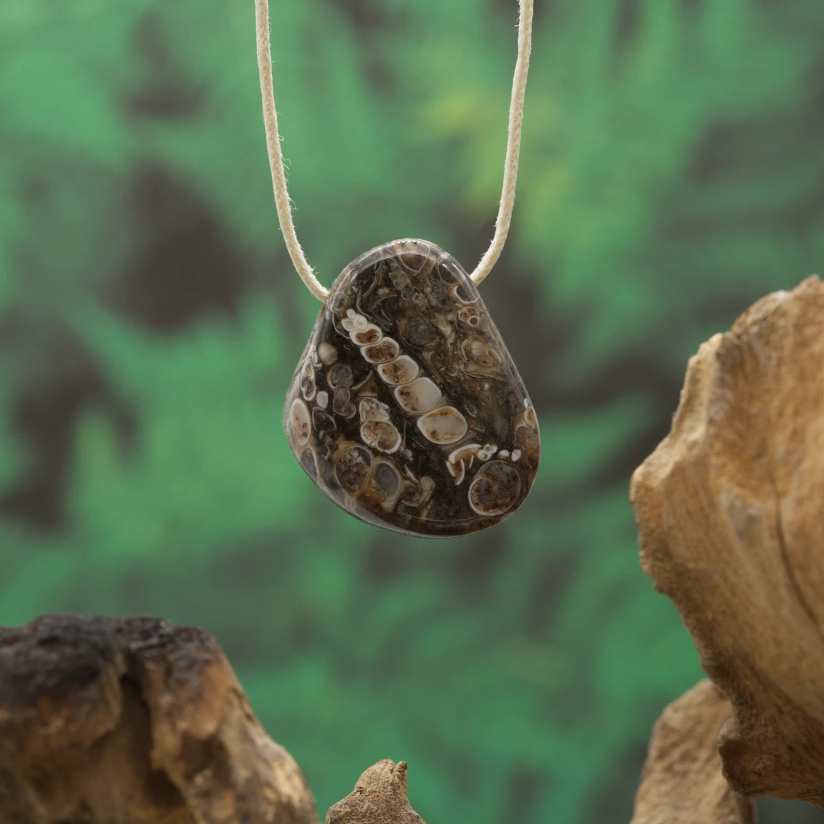 Fossiler Turitellaachat – Erdung, Erinnerung und Stabilität.