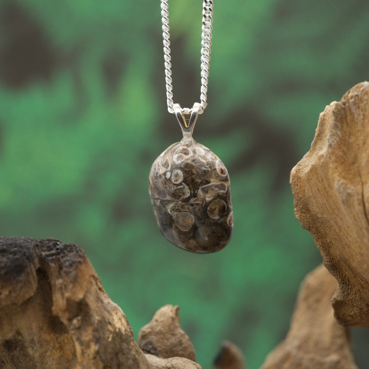 Brauner Achat mit fossilen Mustern – steht für Erdverbundenheit und alte Weisheit.