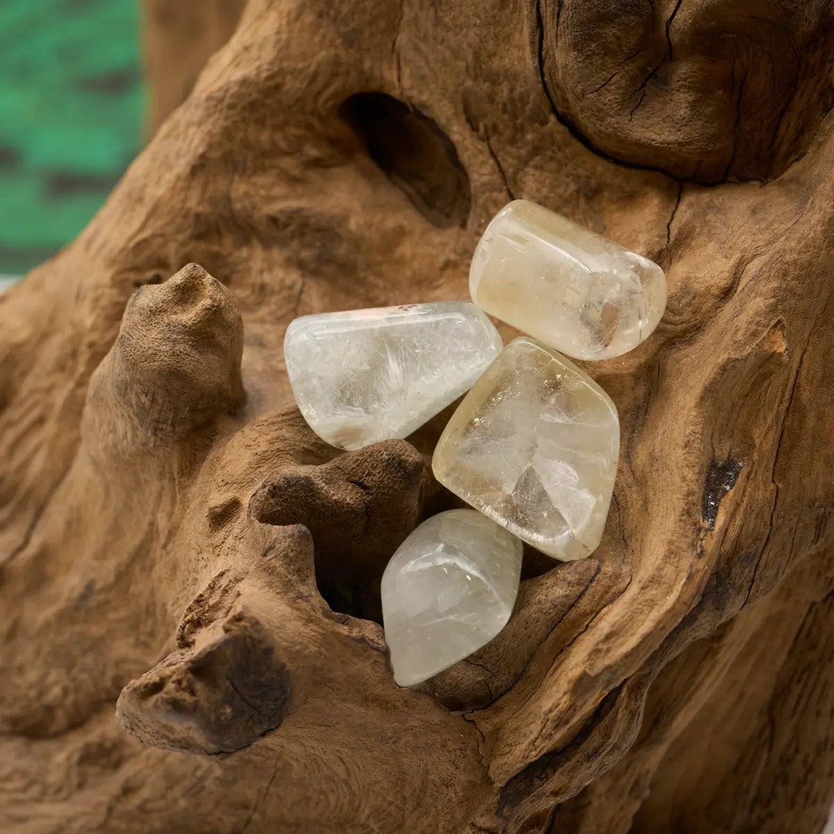 Grüner Apophyllit-Trommelstein – öffnet das Herz und bringt Leichtigkeit.