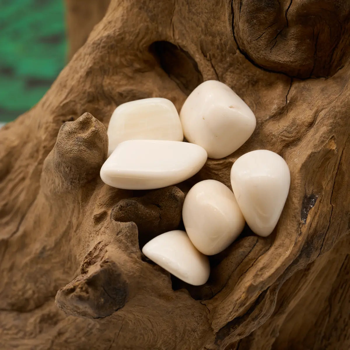 Schimmernder Muschelaragonit-Trommelstein – harmonisiert Emotionen und Energie.