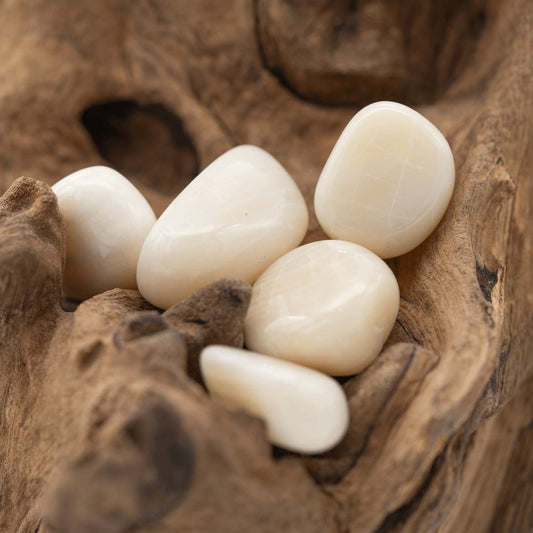 Aragonit "Muschelaragonit" Trommelstein