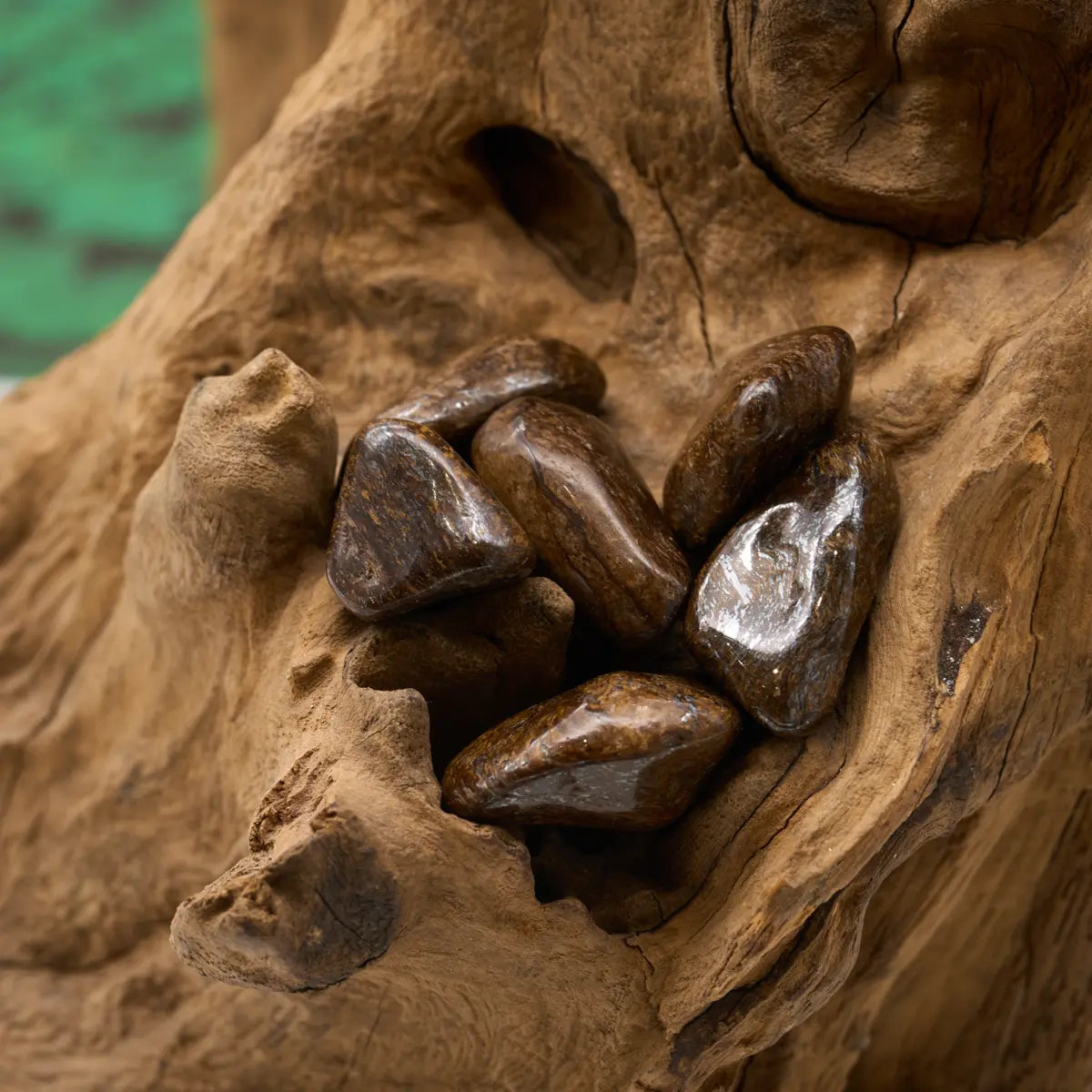 Braun-goldener Bronzit-Trommelstein – schützt und stärkt Ausdauer.