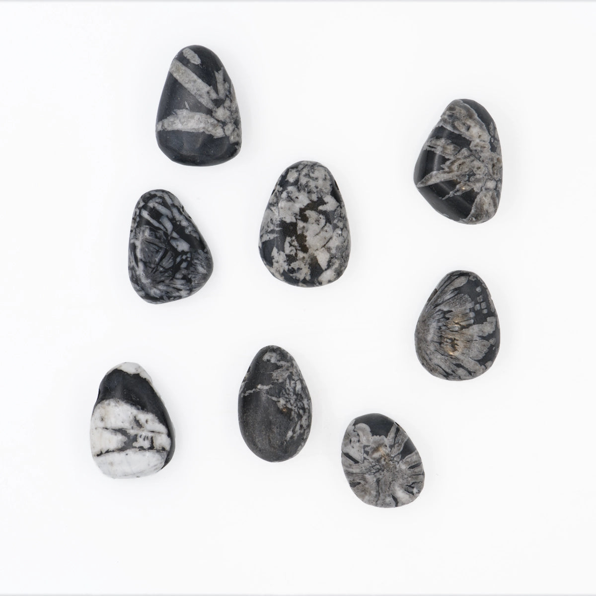 Chrysanthemenstein Anhänger gelocht