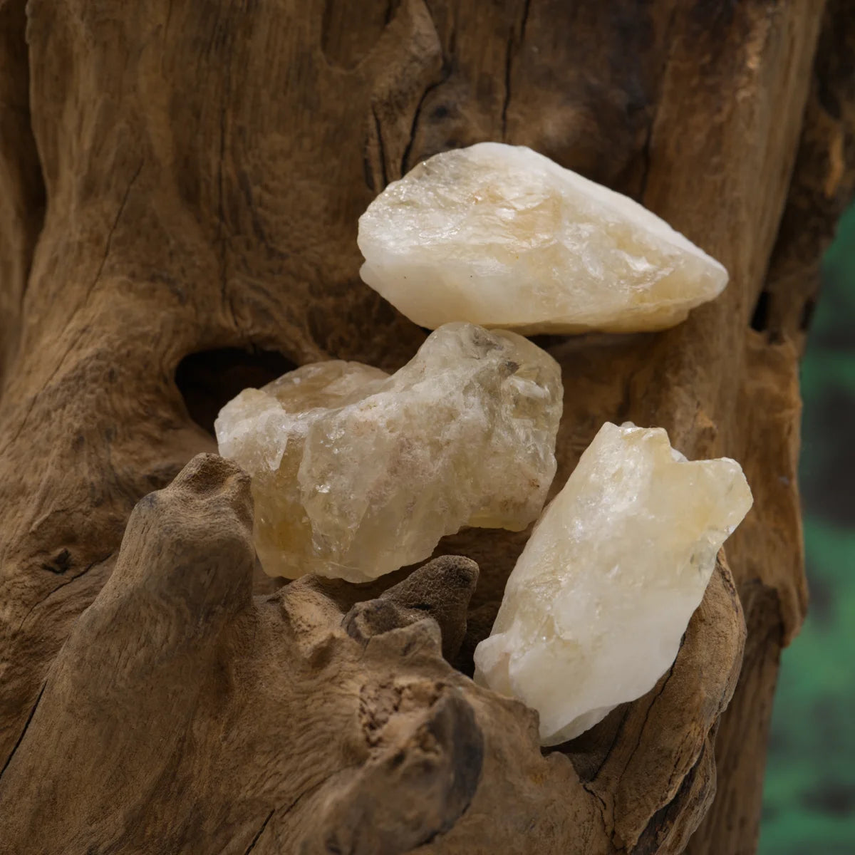 Goldgelber Citrin-Rohstein – aktiviert Lebensfreude und Erfolg.