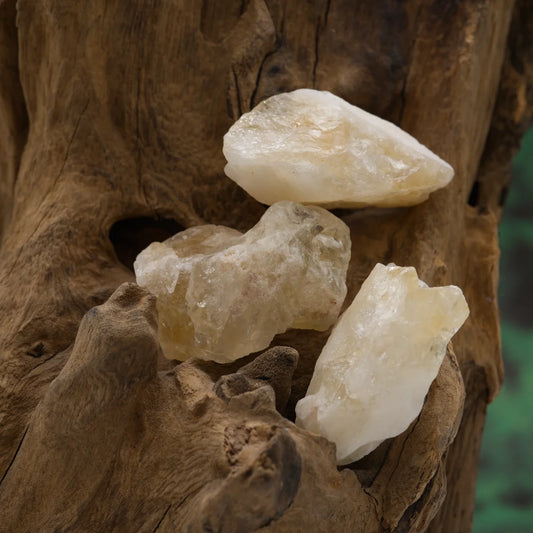 Goldgelber Citrin-Rohstein – aktiviert Lebensfreude und Erfolg.