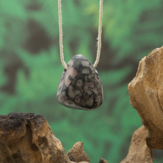 Fossiles Crinoid im Marmor – Erdung, Beständigkeit und Verbindung zur Vergangenheit.