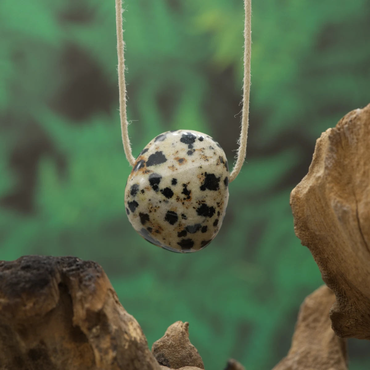 Gesprenkelter Dalmatinerstein – Lebensfreude, Schutz und Tierverbundenheit.