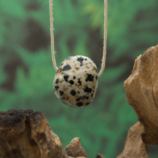 Gesprenkelter Dalmatinerstein – Lebensfreude, Schutz und Tierverbundenheit.