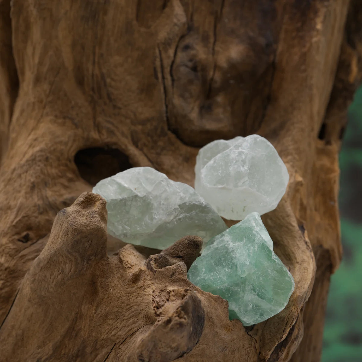 Grüner Fluorit-Rohstein – klärt Gedanken und stabilisiert Emotionen.