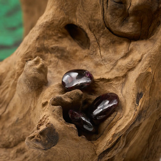 Rubinrot – entfacht Leidenschaft und Lebenskraft.