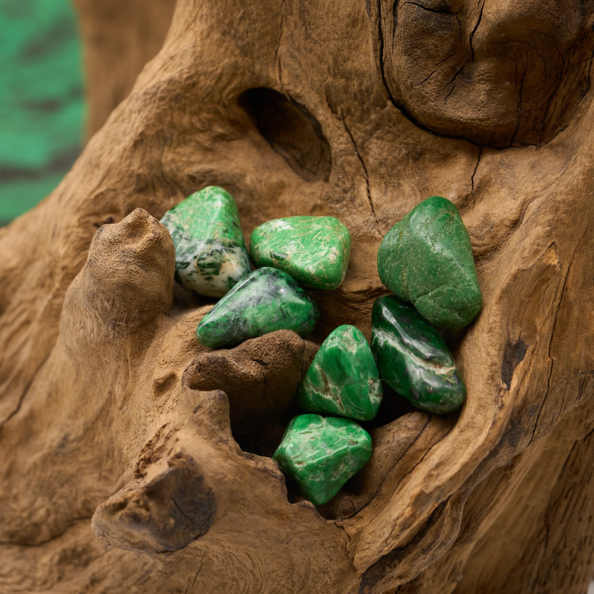 Edelgrün, dicht – fördert Wohlstand und Ausgleich.