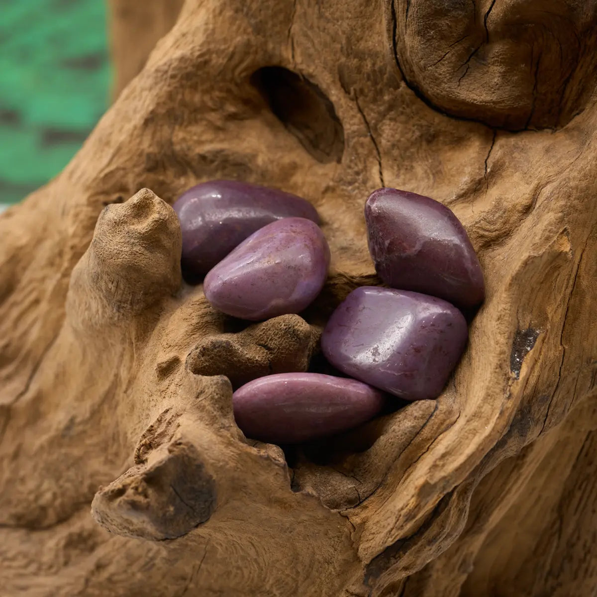 Zart lavendel – beruhigt und öffnet das Herz.