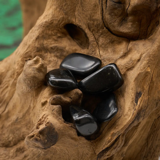 Tiefschwarz – erdet und schützt.