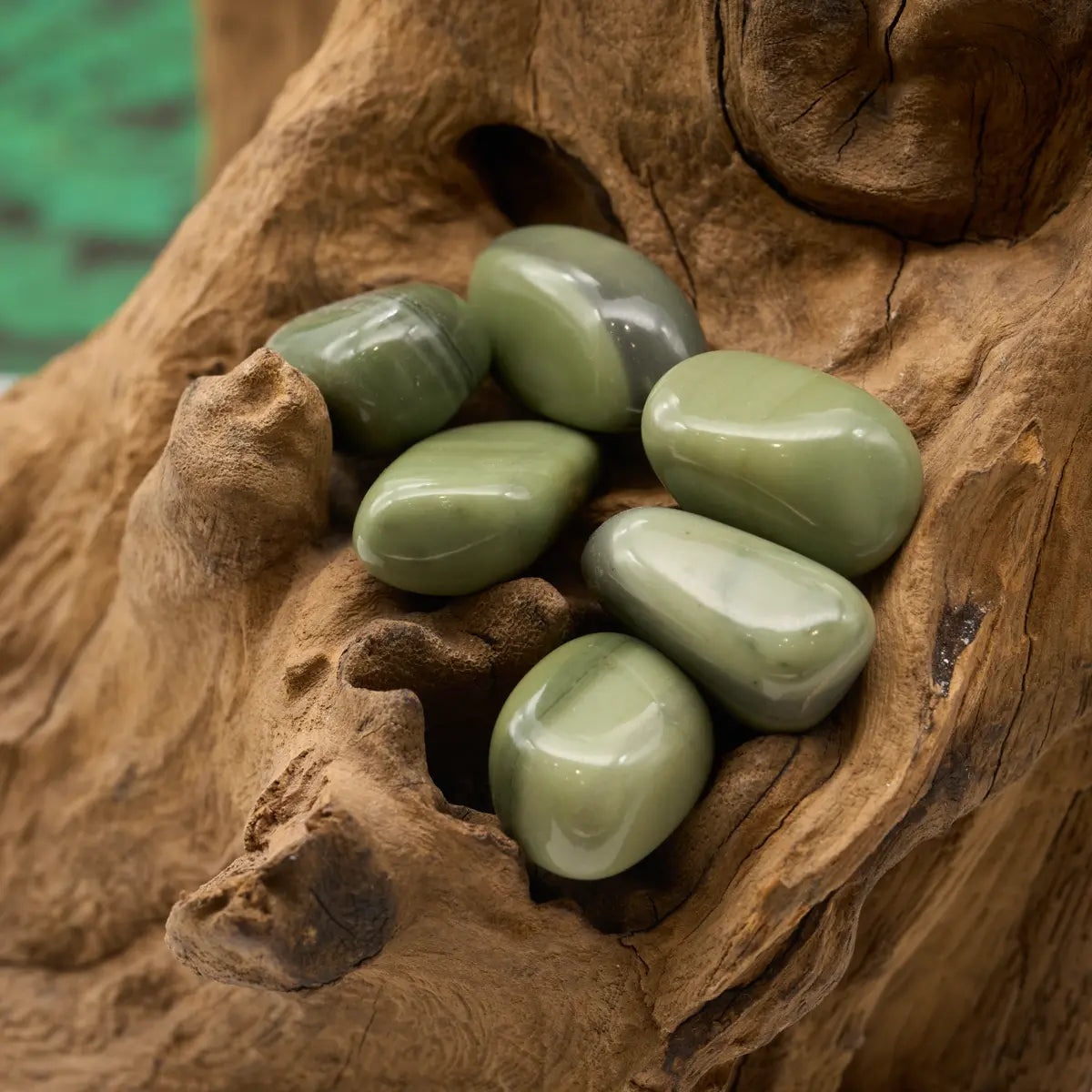 Deutliche Bänderung – strukturiert und stabilisiert.