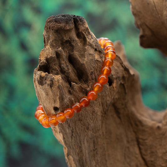 Karneol Armband 6mm
